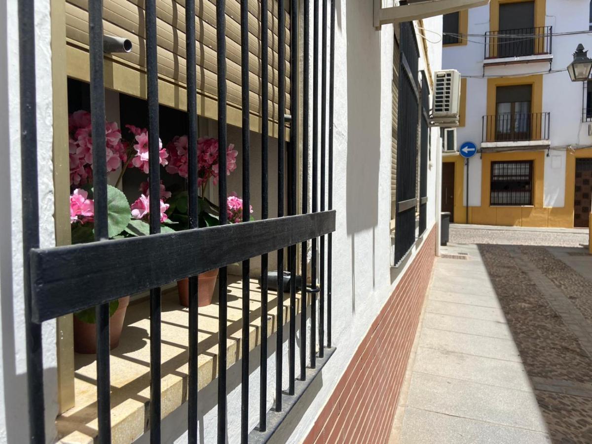 Despertar En San Basilio Cordoba