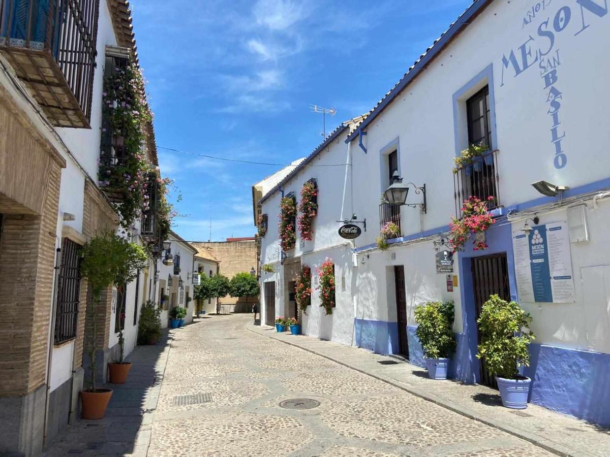 Despertar En San Basilio Appartement