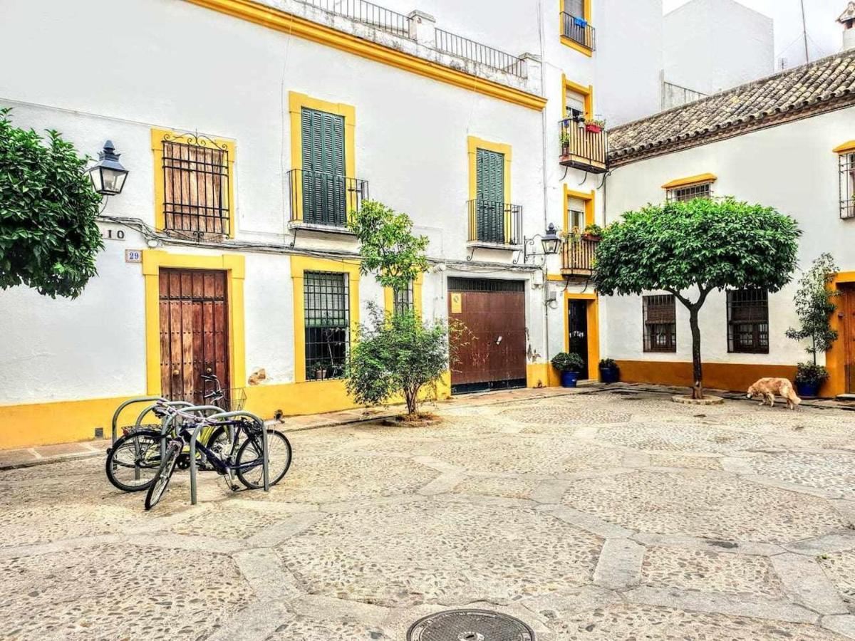 Apartment Despertar En San Basilio Cordoba